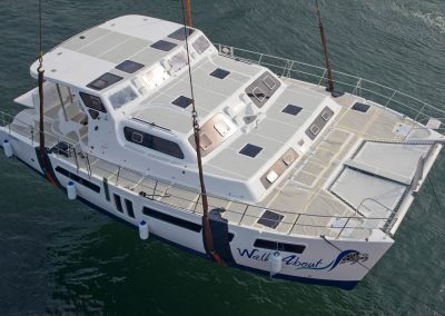 Royal Cape Catamarans, Launch of new Majestic 530
